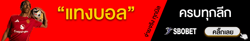 ผู้สนับสนุน